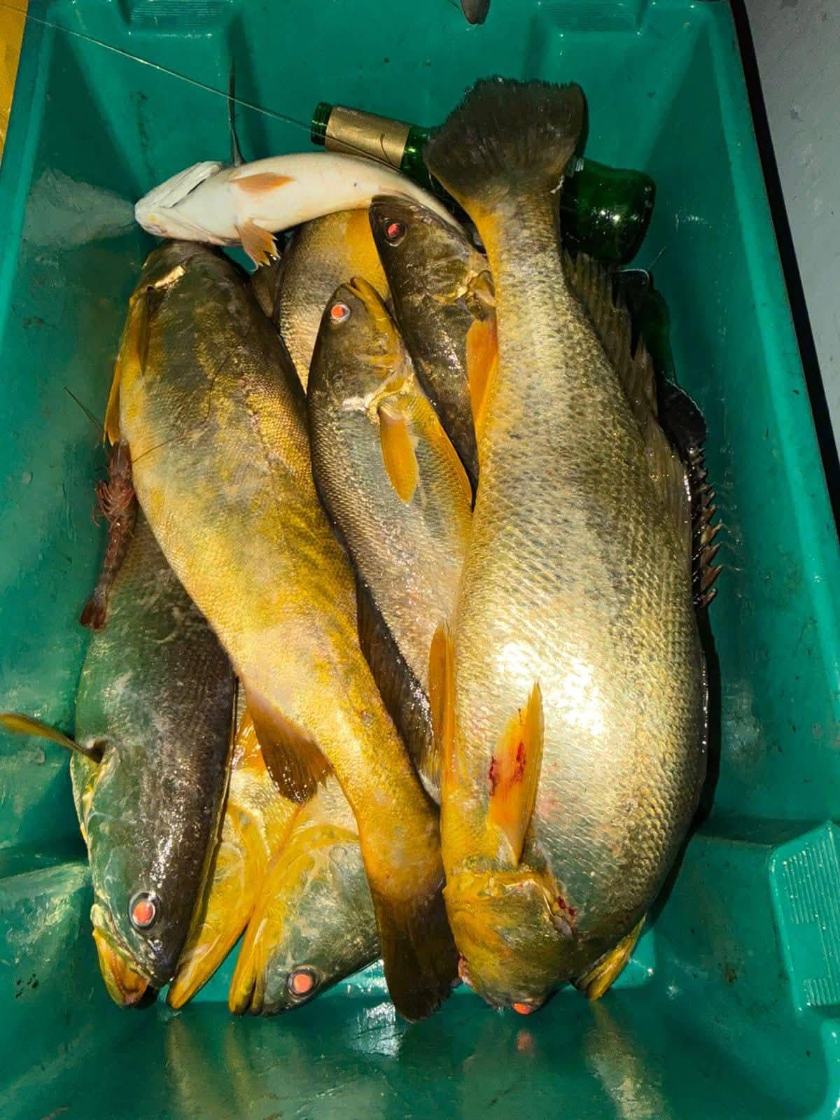 Pescaria Costeira  em Paranaguá