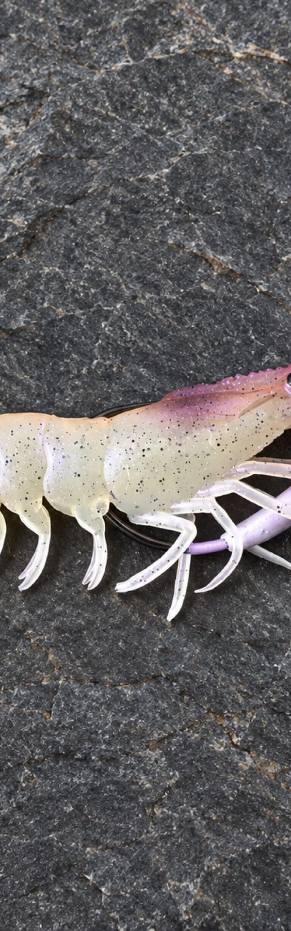 Pesca com iscas realisticas em Balneário Piçarras-SC