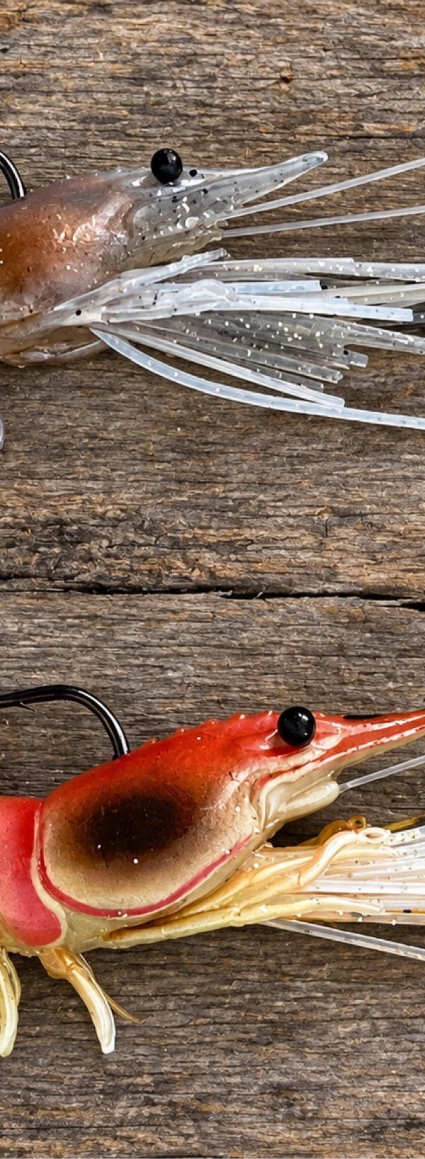 Pesca com iscas realisticas em Balneário Piçarras-SC