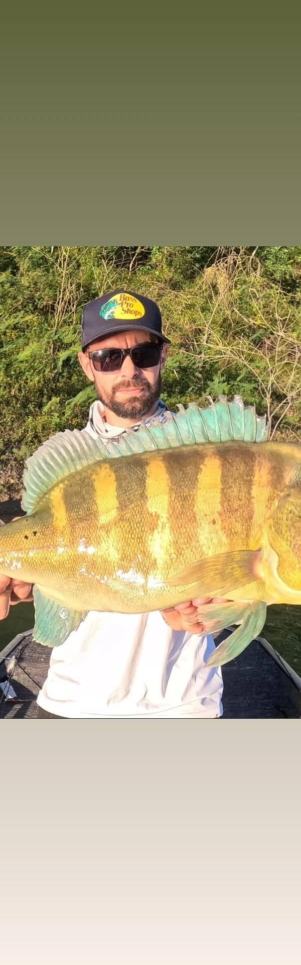 Pescaria com Alex koba