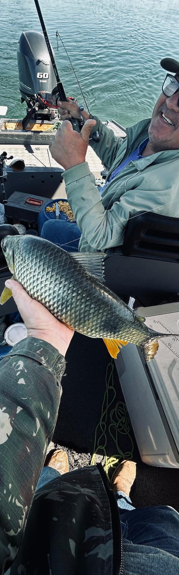 Pescaria de Piapara, Piau-Sul, Pacu e Tucunaré em Porto Rico-PR