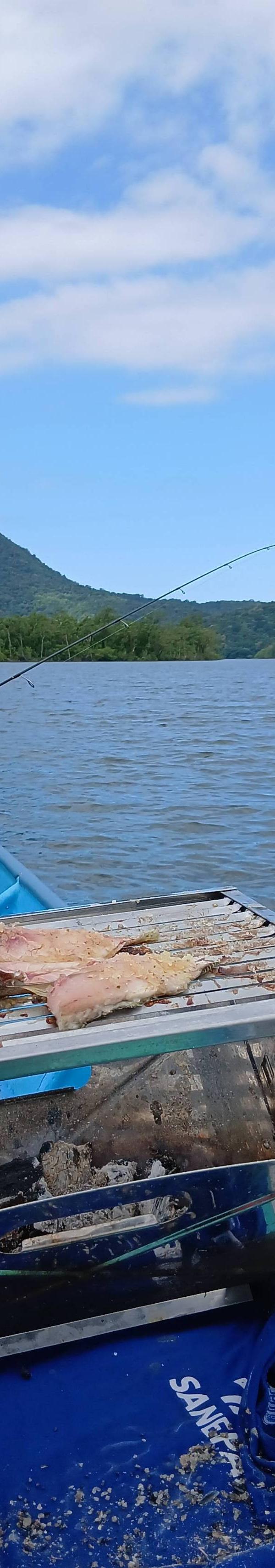 Ms guia de pesca na baia de guaratuba em Guaratuba-PR