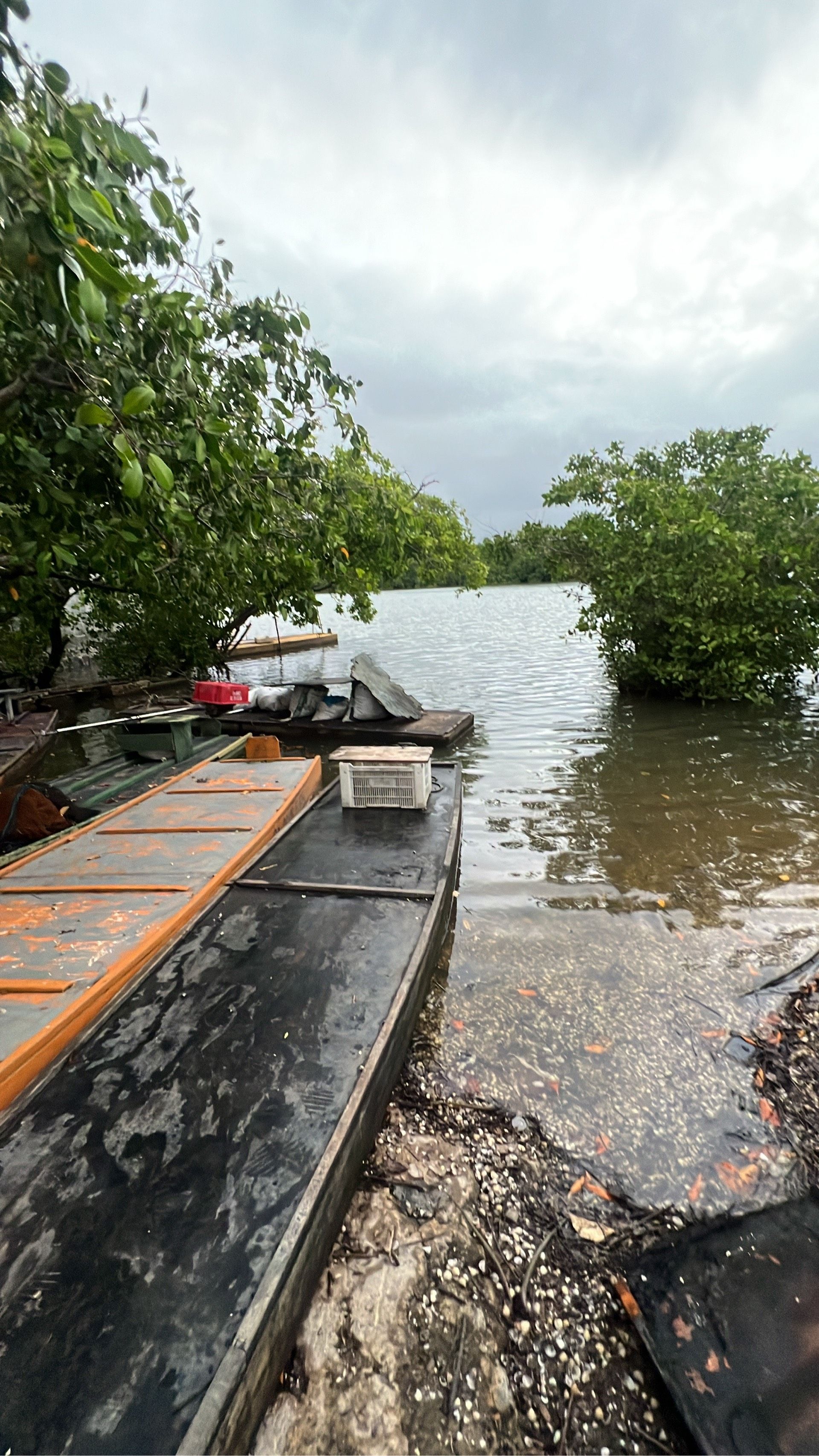 Pescaria de robalos e tarpons em Jaboatão dos Guararapes