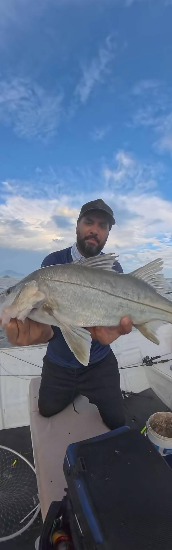 Costeiras de ubatuba em Ubatuba-SP