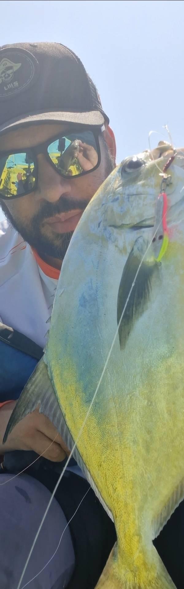 Costeiras de ubatuba em Ubatuba-SP