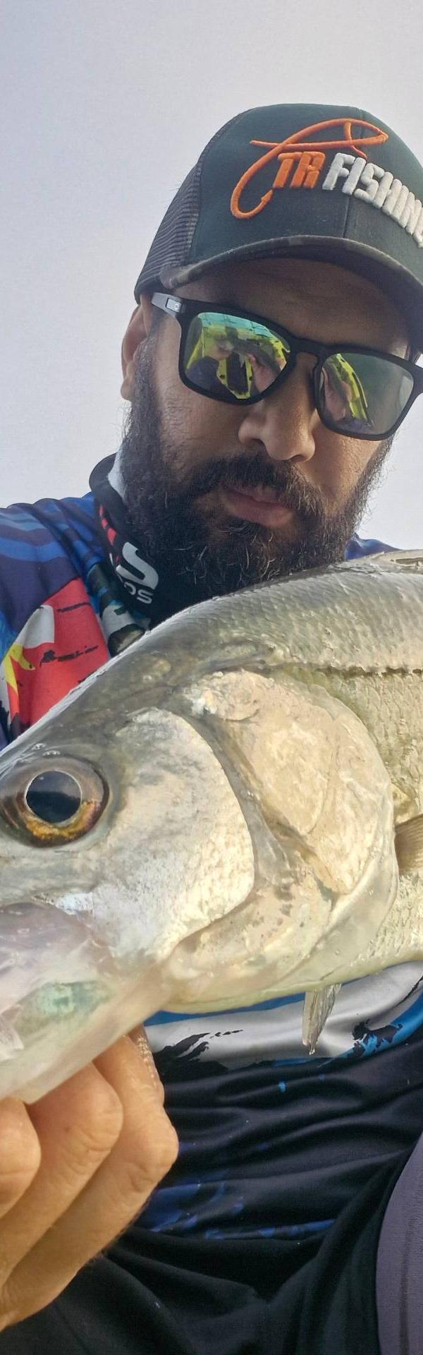 Costeiras de ubatuba em Ubatuba-SP