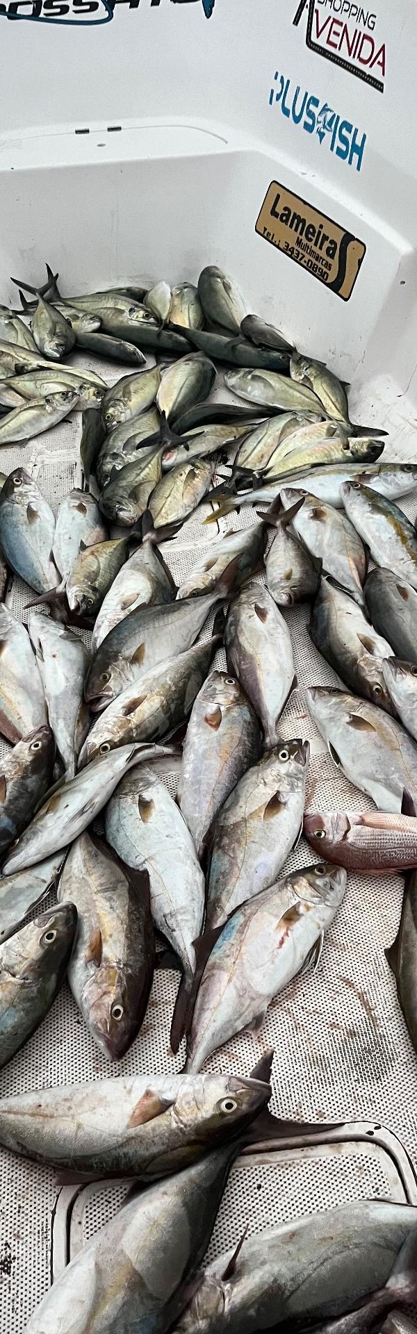 Oceânica 30 milhas em Mangaratiba-RJ