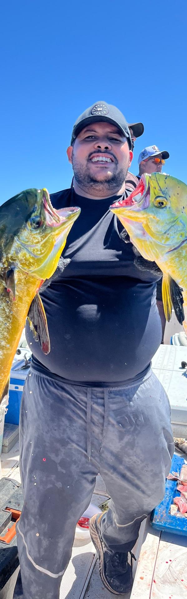 Dourado nos Atratores em Mangaratiba-RJ