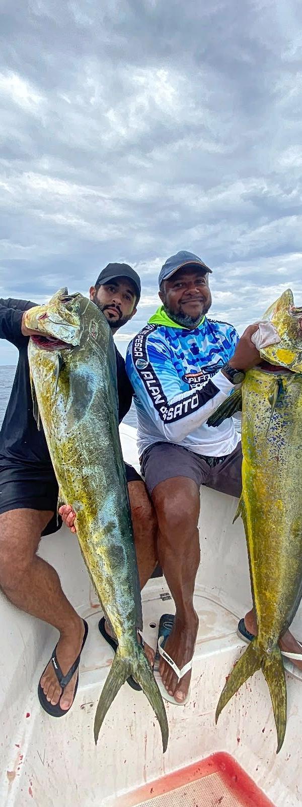Dourado nos Atratores em Mangaratiba-RJ