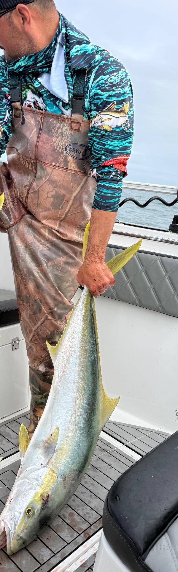 Pescaria com Alex Goldfishing