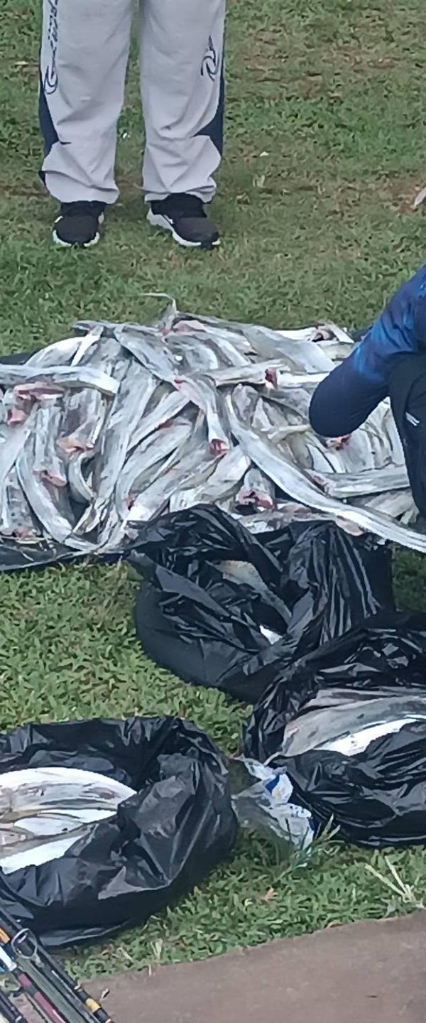 Pescaria com Mario frança costa junior em Praia grande