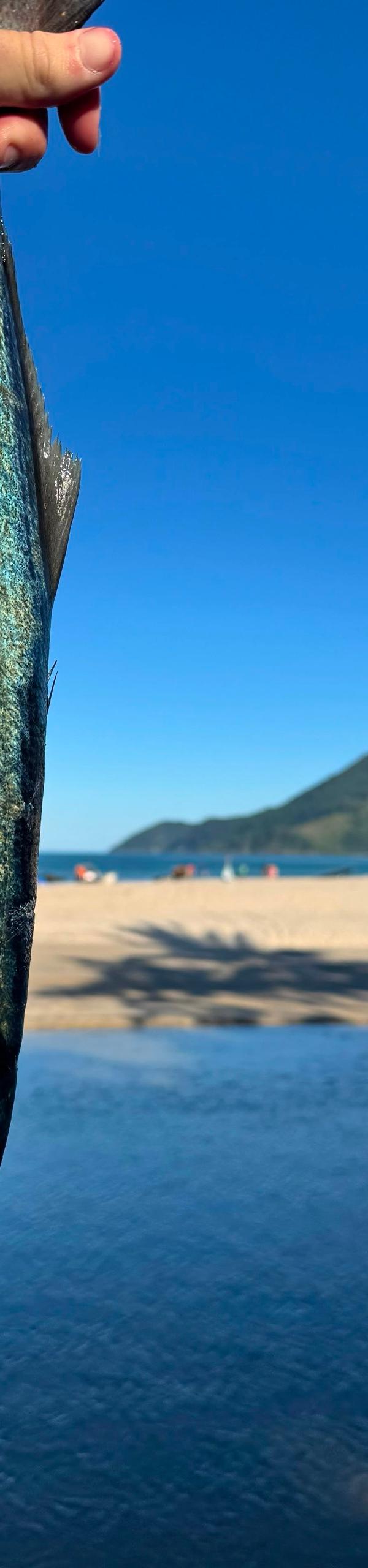 Artificiais em São Sebastião-SP