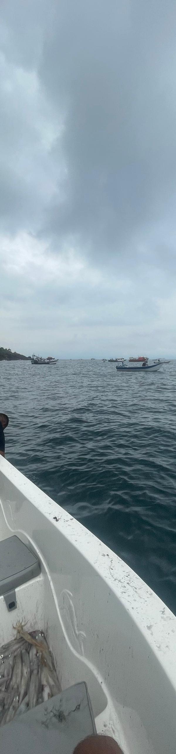 Pesca de Lula em São Sebastião-SP