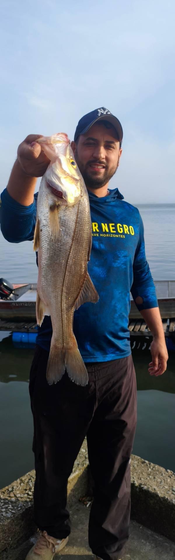 Pescaria com Diogo Pinheiro SNOOK ATTACK em Guaratuba PR
